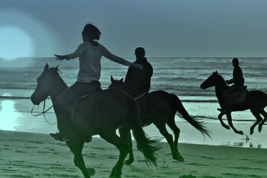 Caballo_destacada
