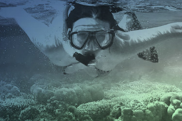 Buceo en Nerja - destacada