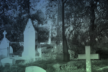 Visita al cementerio inglés de Málaga - destacada