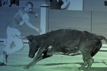 Capea con comida en Murcia - destacada