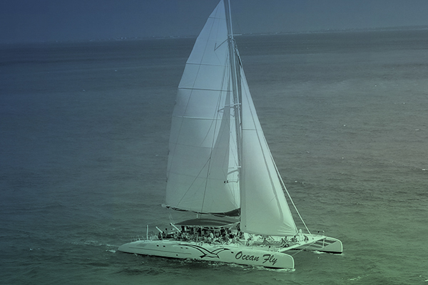 Excursión a vela en Valencia
