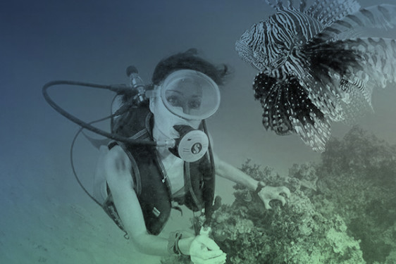Curso Open Water Driver en Ibiza