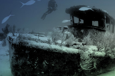 Curso Advanced Adventurer en Ibiza