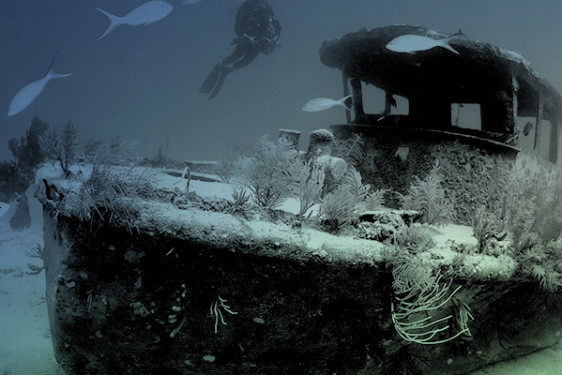 Curso Advanced Adventurer en Ibiza
